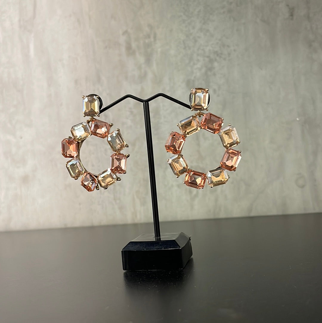 Aretes Guyana